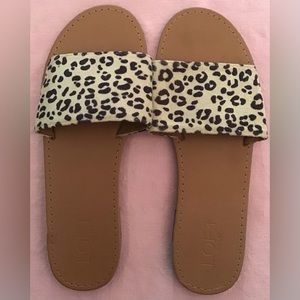 NWOT Loft Leopard Print Slide Sandals Size 7